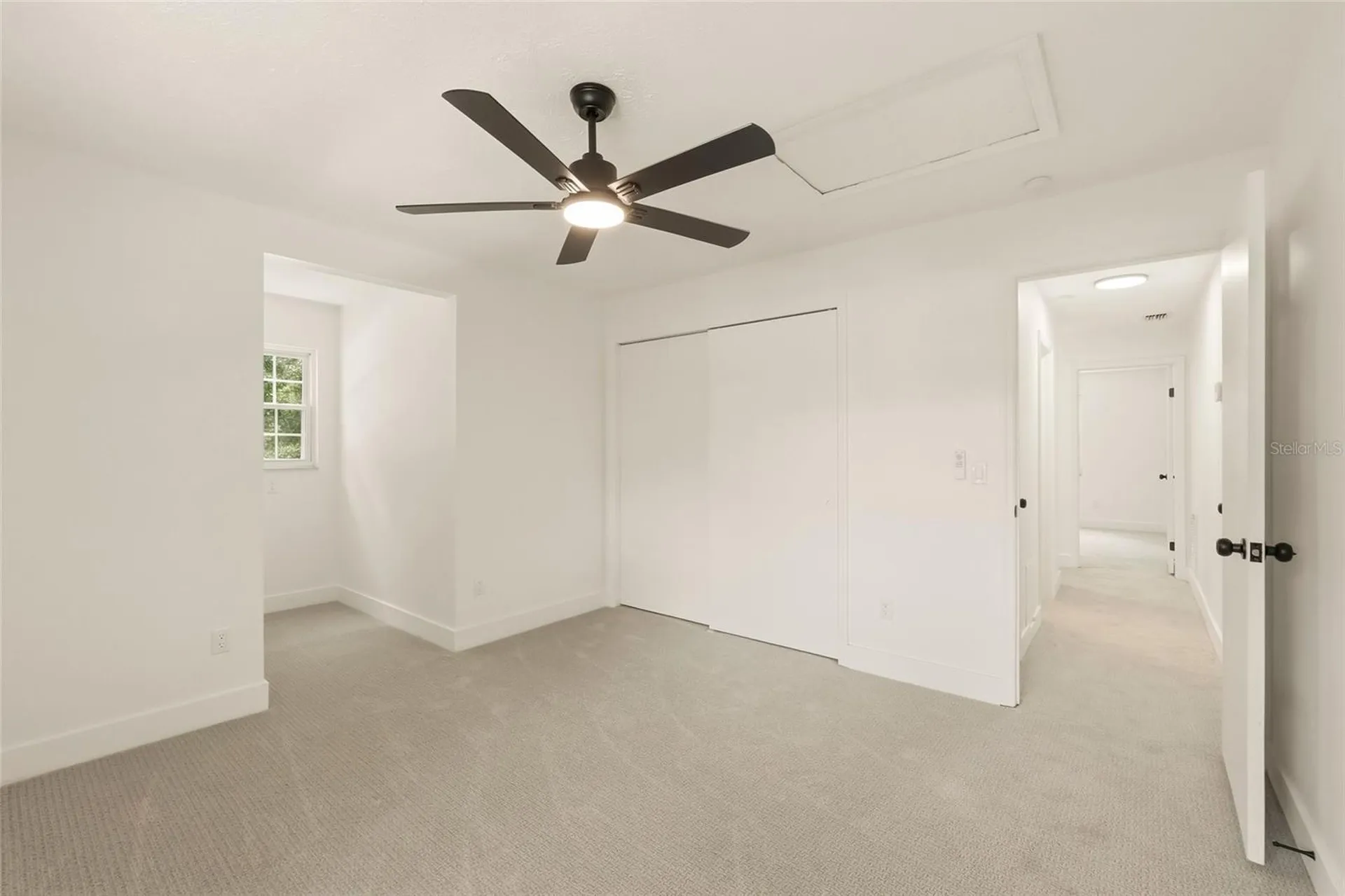 1102 Samy Drive Tampa FL 33613
