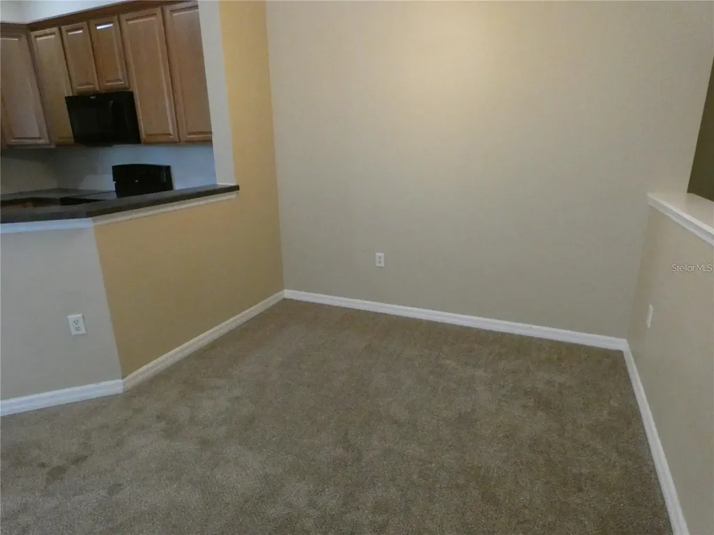 9092 Moonlit Meadows Loop Riverview FL 33578