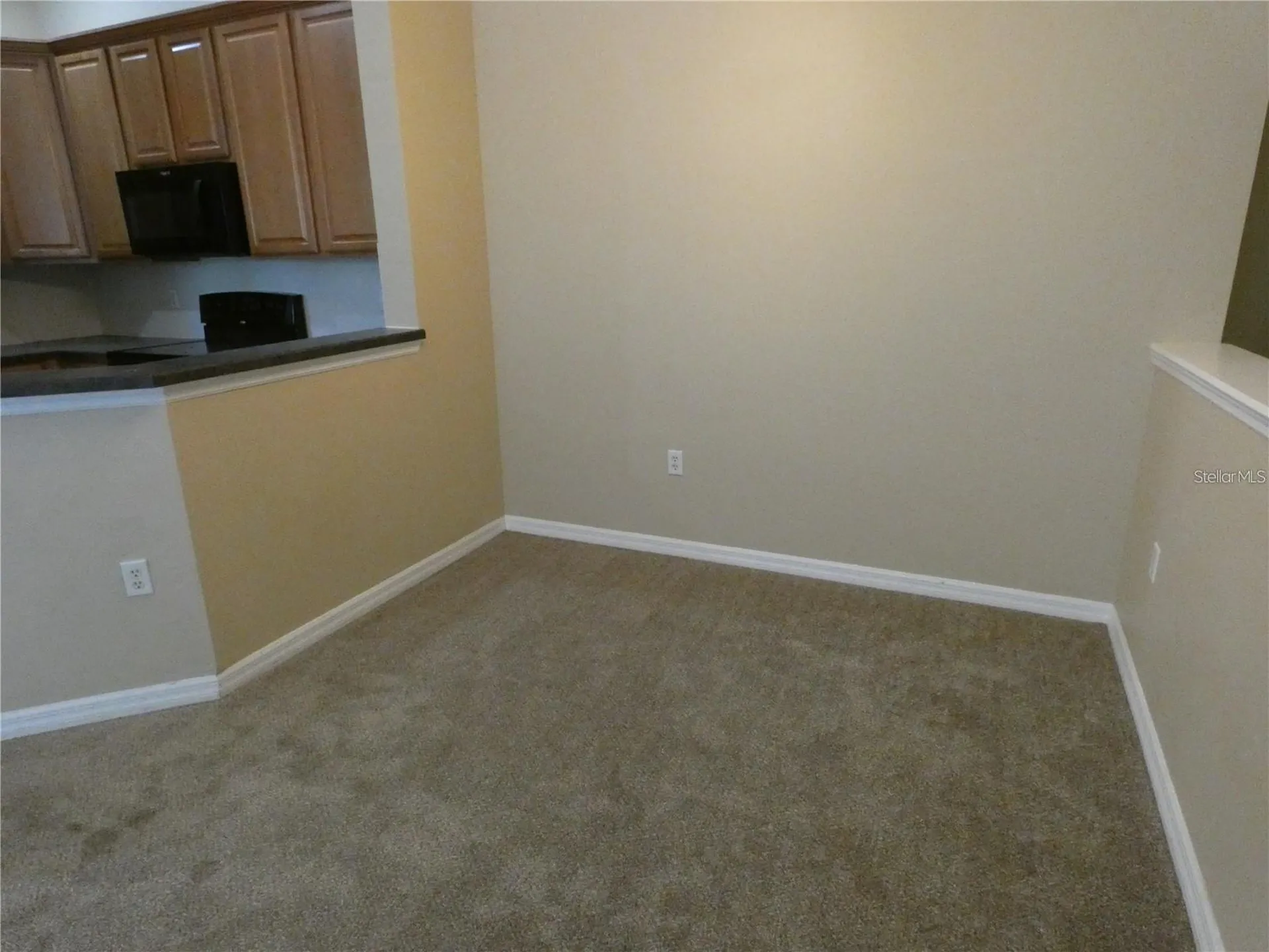 9092 Moonlit Meadows Loop Riverview FL 33578