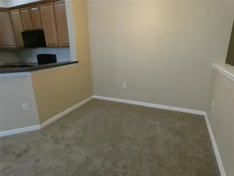 9092 Moonlit Meadows Loop Riverview FL 33578