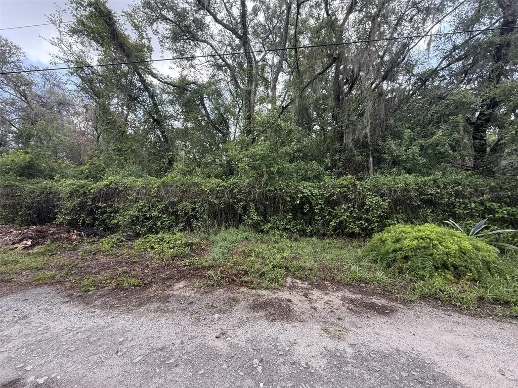 10934 Leon Street New Port Richey FL 34654