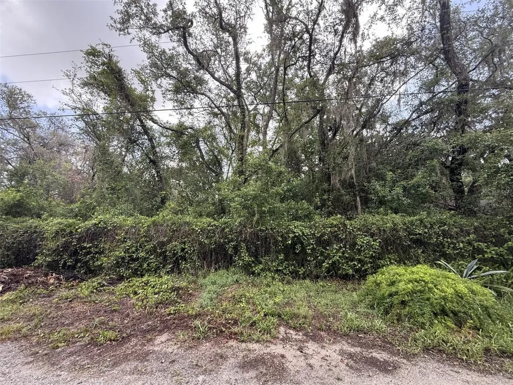 10934 Leon Street New Port Richey FL 34654