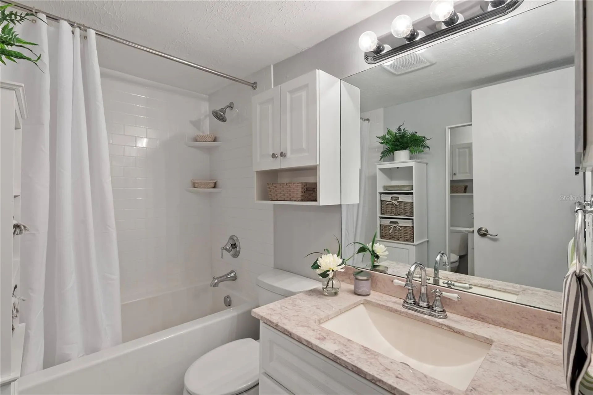 4611 W North B Street Tampa FL 33609