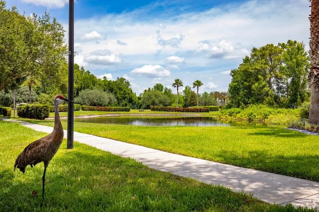 20617 Whitebud Court Tampa FL 33647