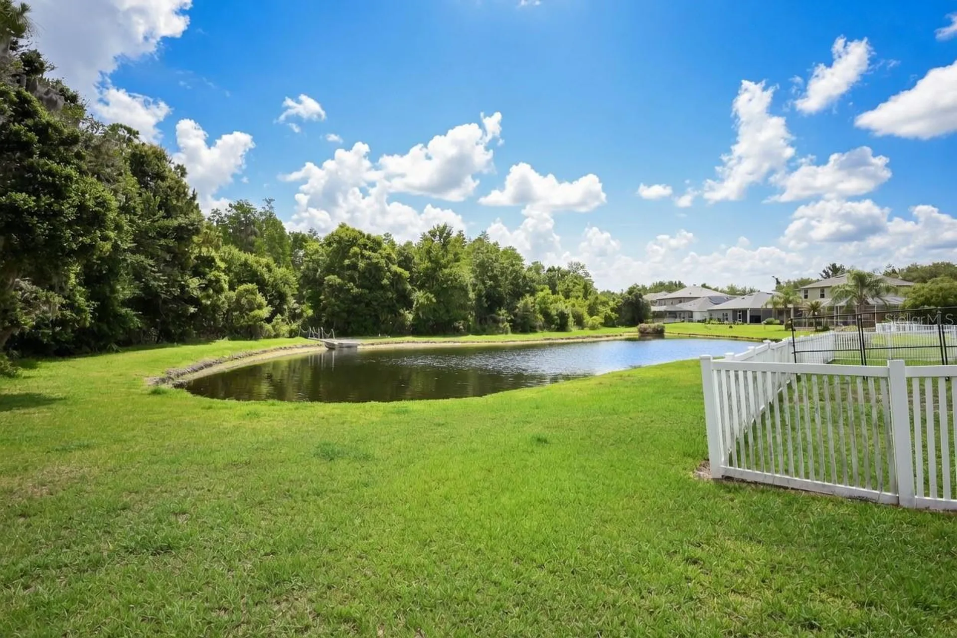 20617 Whitebud Court Tampa FL 33647