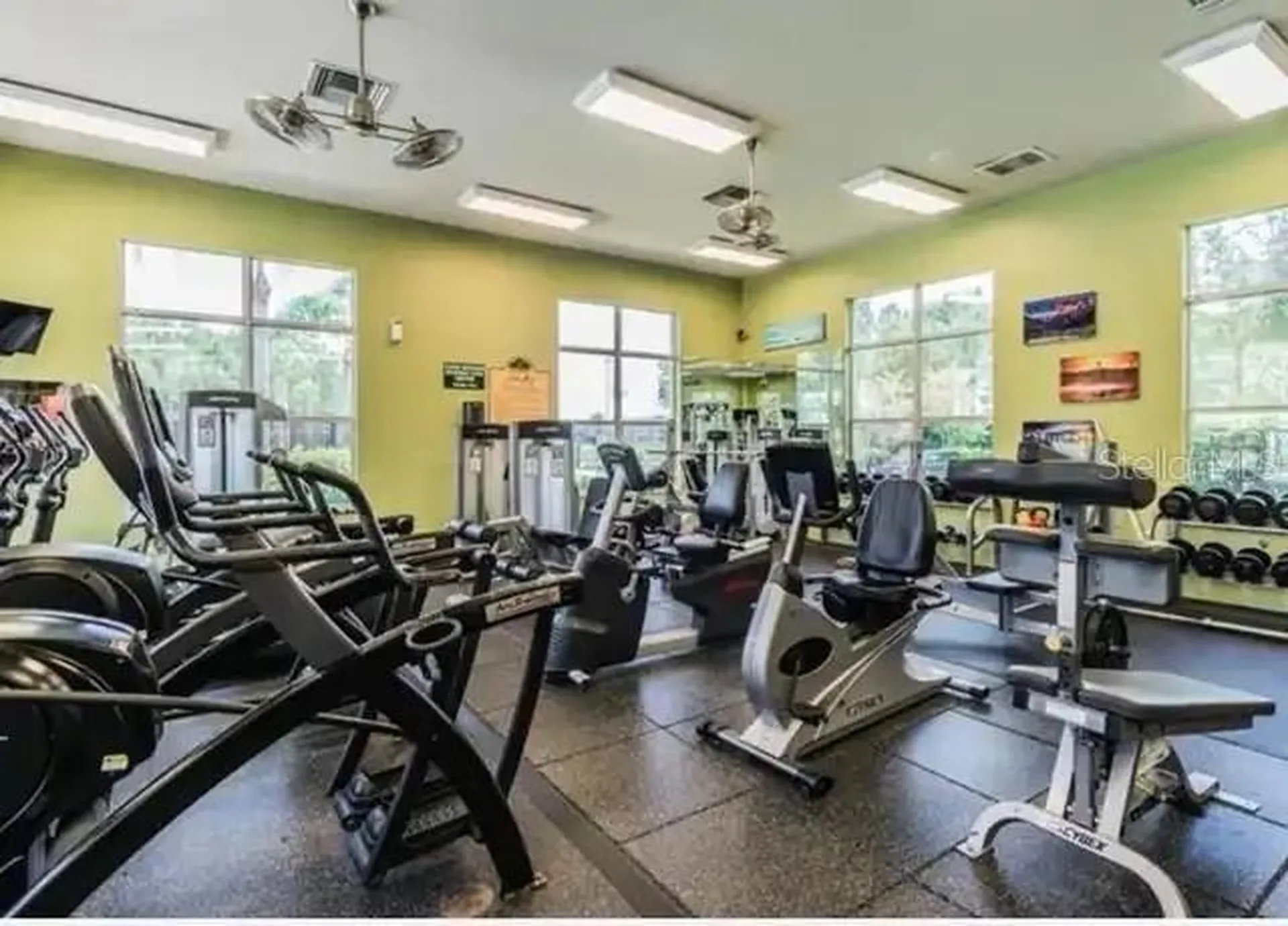 20617 Whitebud Court Tampa FL 33647