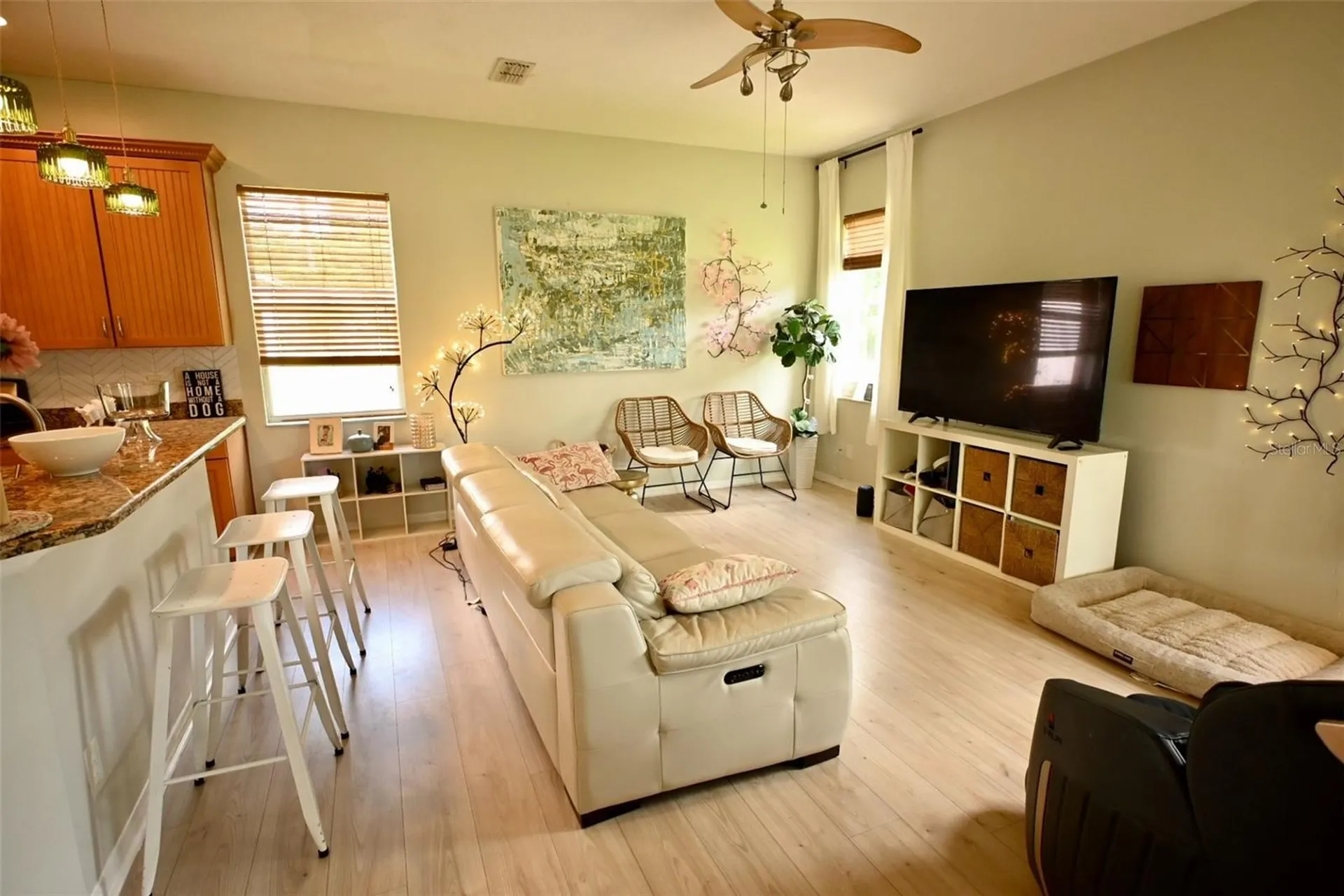 20617 Whitebud Court Tampa FL 33647