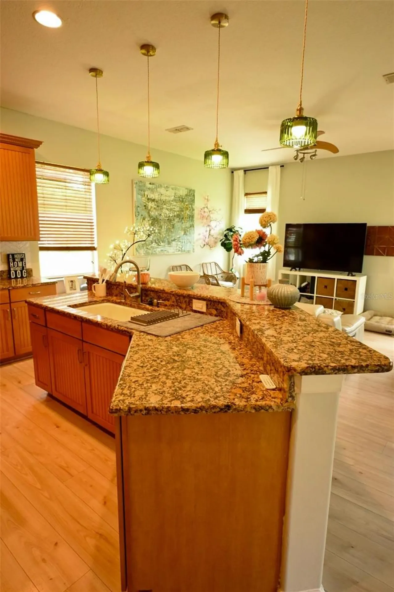 20617 Whitebud Court Tampa FL 33647
