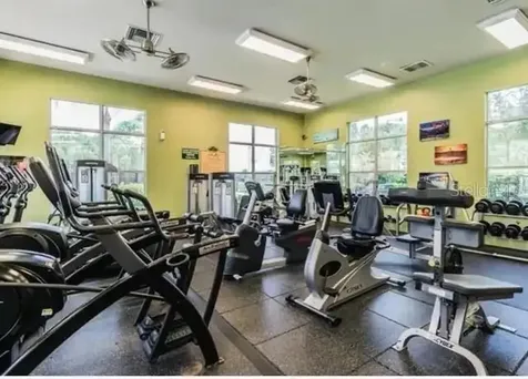 20617 Whitebud Court Tampa FL 33647