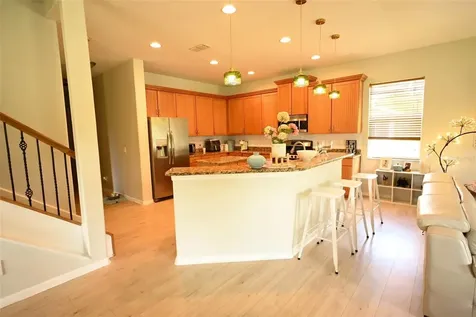 20617 Whitebud Court Tampa FL 33647