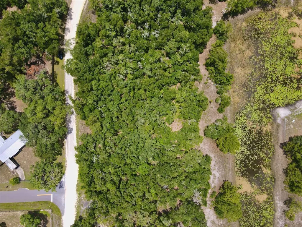 34237 Shaffer Drive Dade City FL 33523