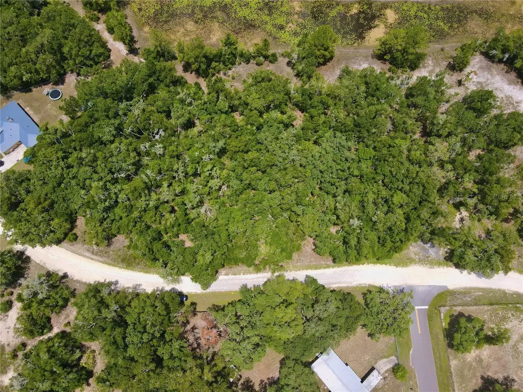 34237 Shaffer Drive Dade City FL 33523