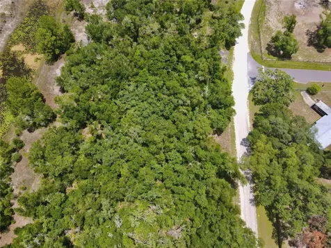 34237 Shaffer Drive Dade City FL 33523
