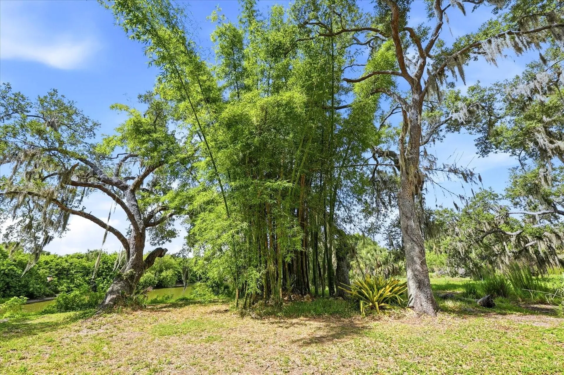 5850 Vanderipe Road Sarasota FL 34241