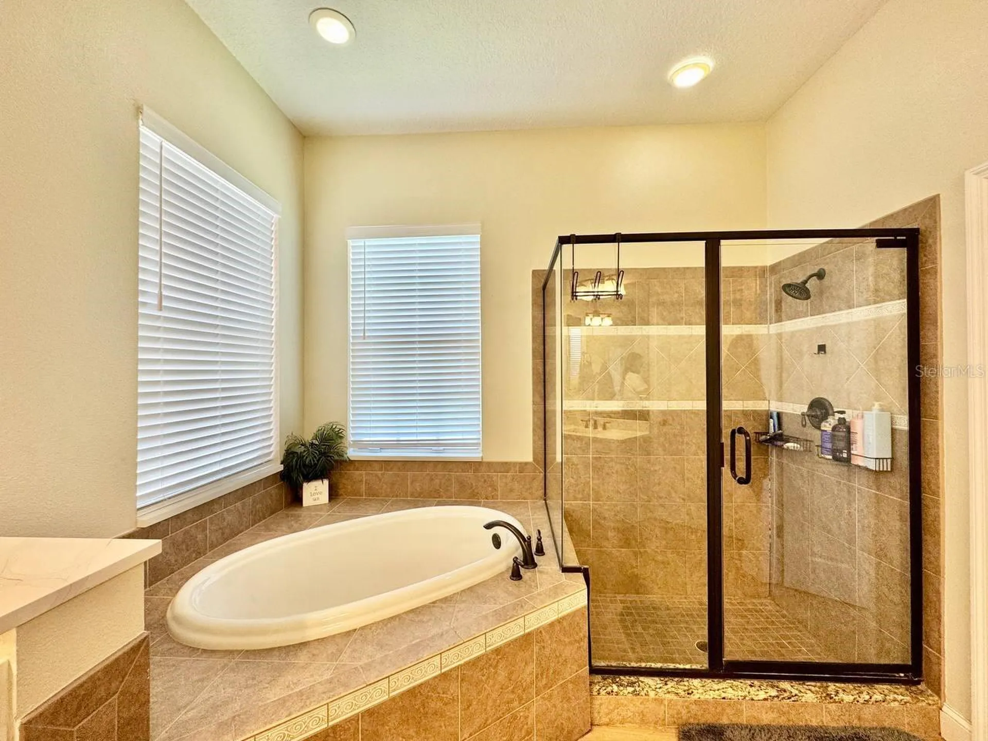 18711 Chaville Road Lutz FL 33558