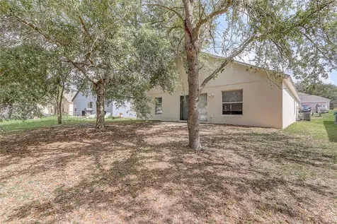 2033 Newtown Road Groveland FL 34736