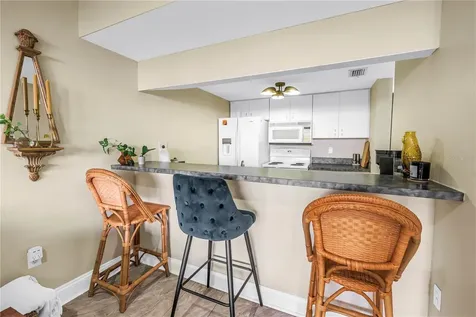 3595 41st Lane S St Petersburg FL 33711
