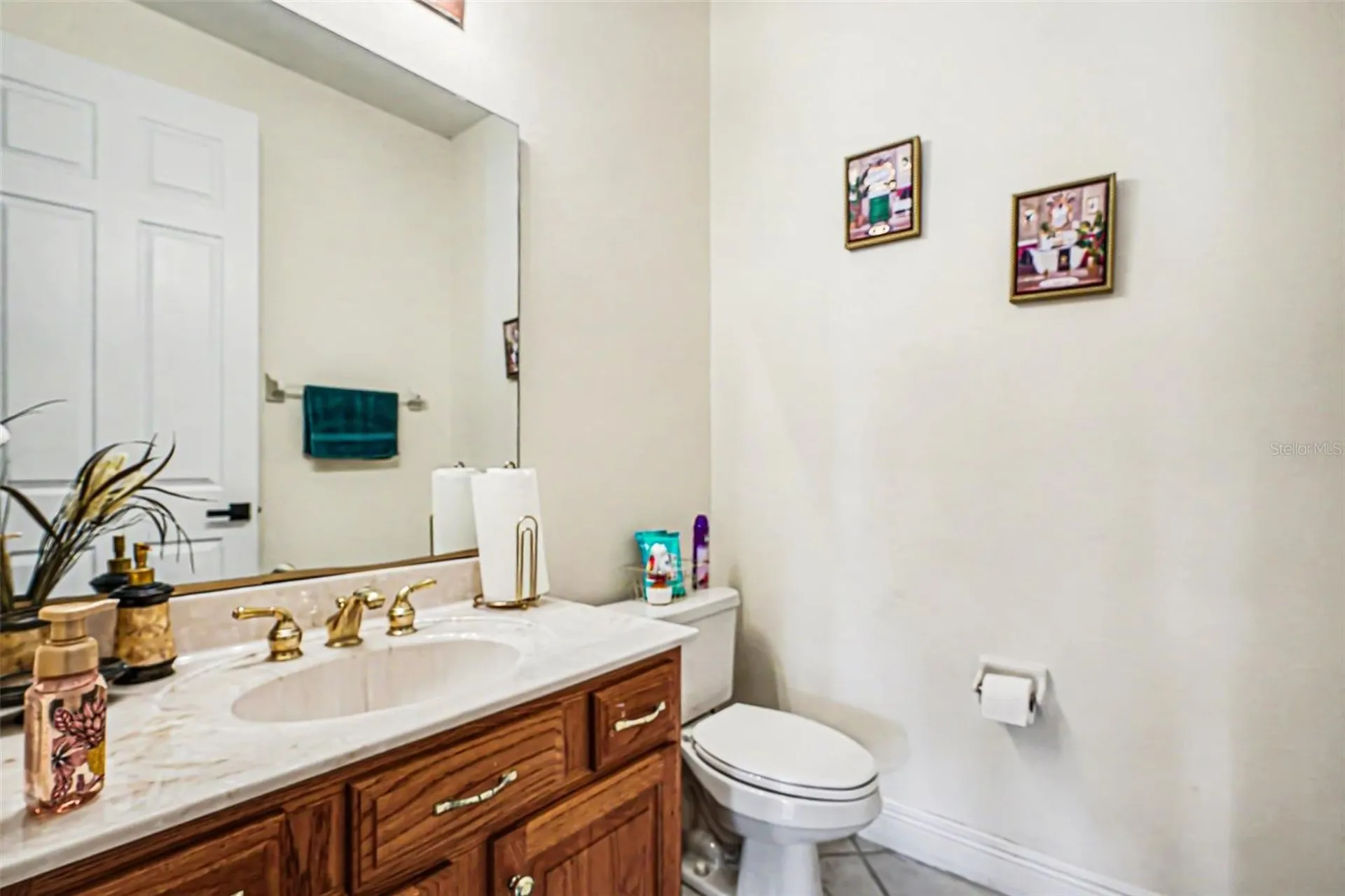 1711 Windward Oaks Court Kissimmee FL 34746