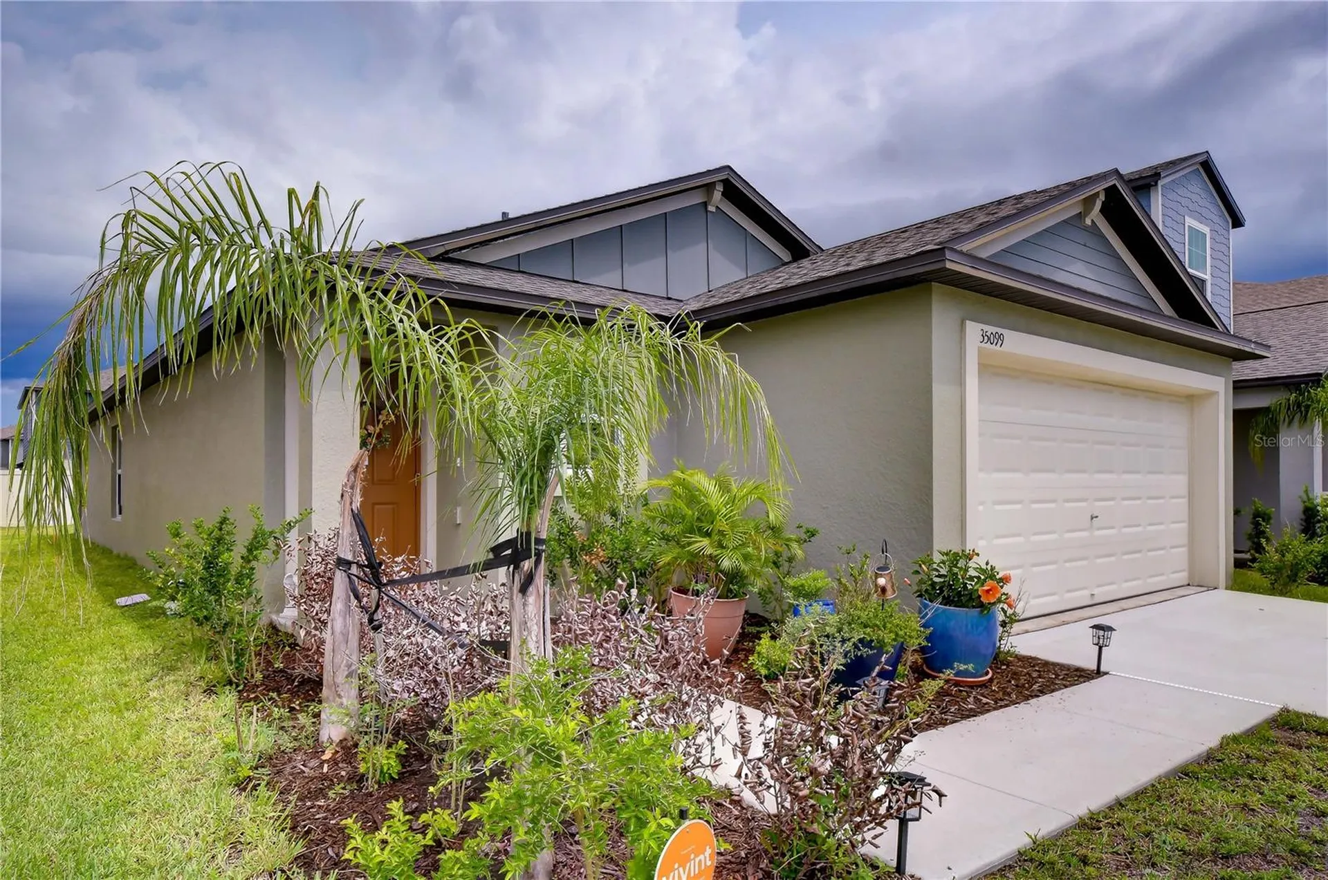 35099 Ackley Trace Zephyrhills FL 33541