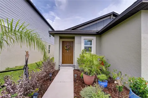 35099 Ackley Trace Zephyrhills FL 33541