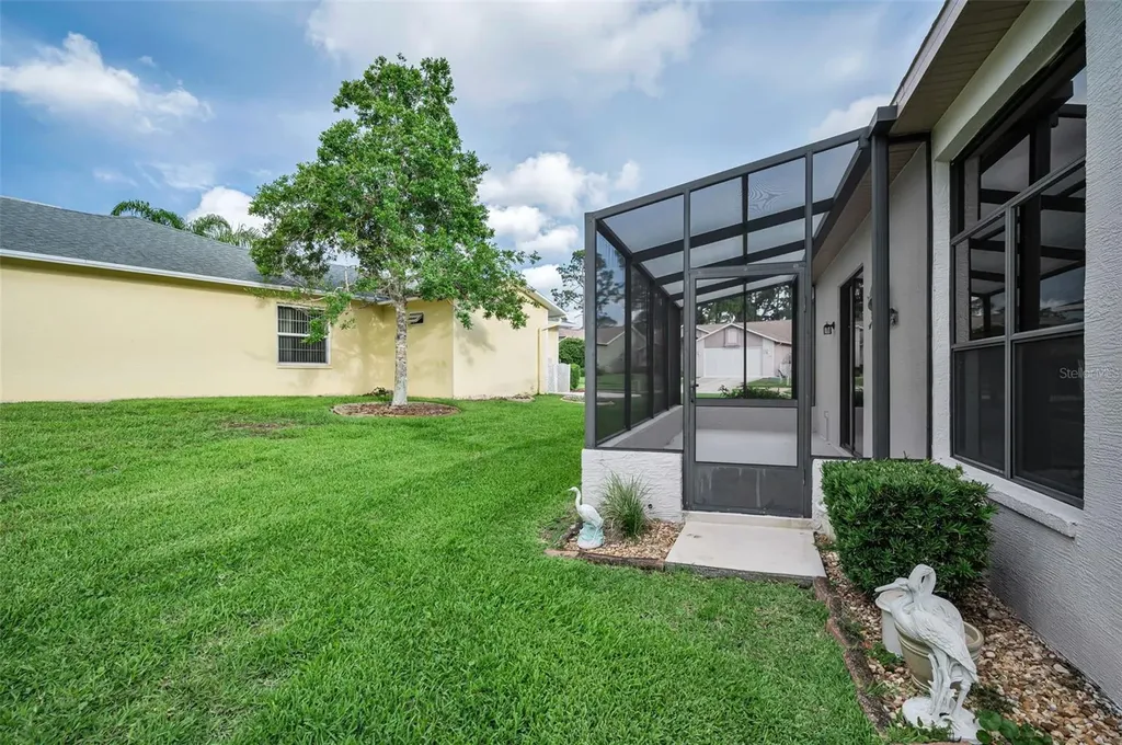 6240 Fairskies Drive New Port Richey FL 34655