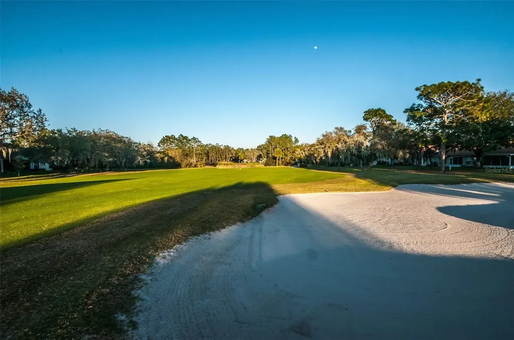 6240 Fairskies Drive New Port Richey FL 34655