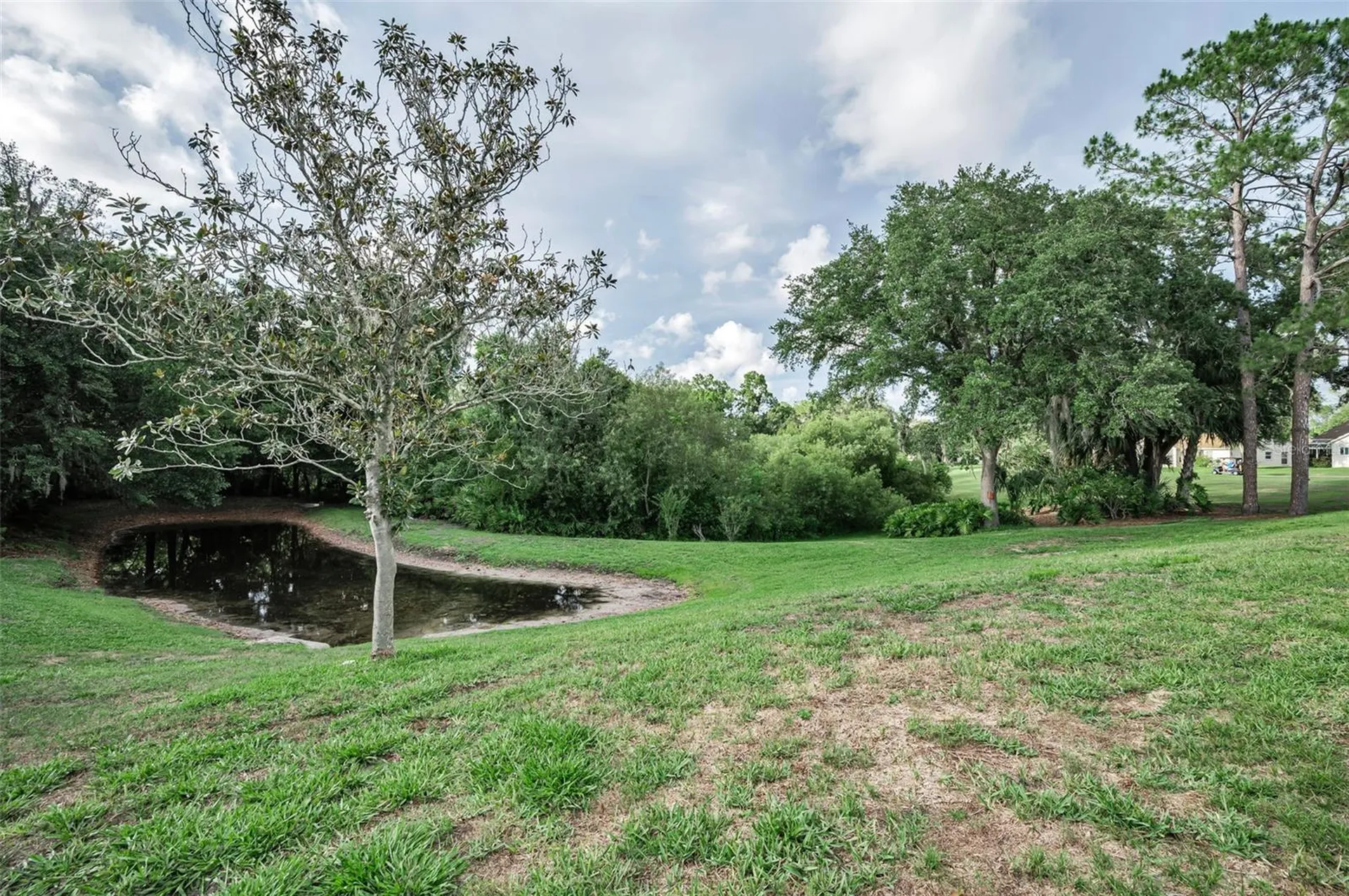 6240 Fairskies Drive New Port Richey FL 34655