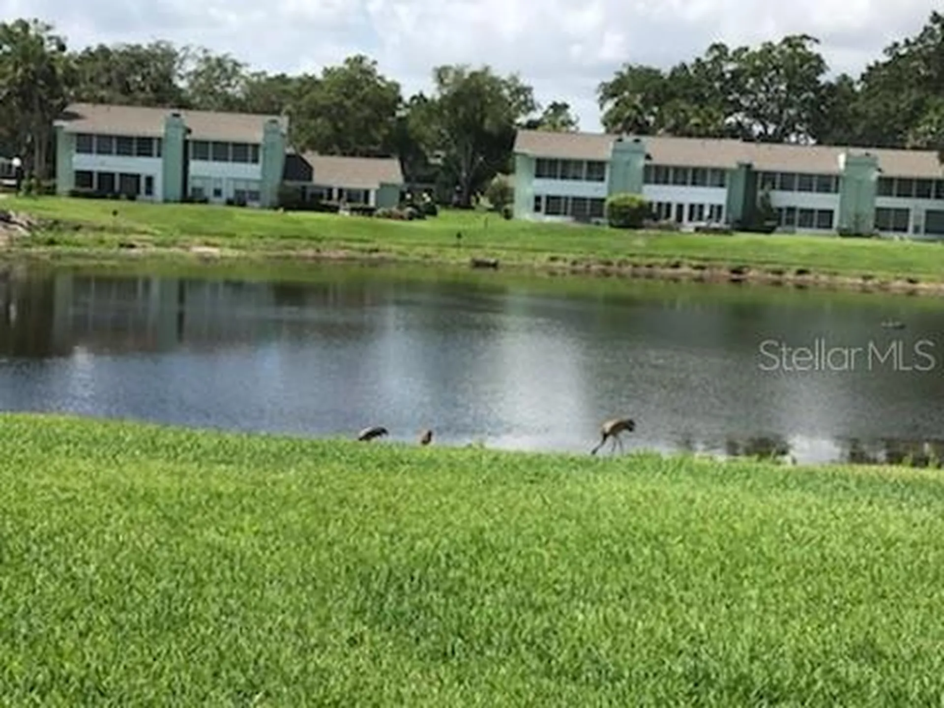 519 Midway Drive Ocala FL 34472
