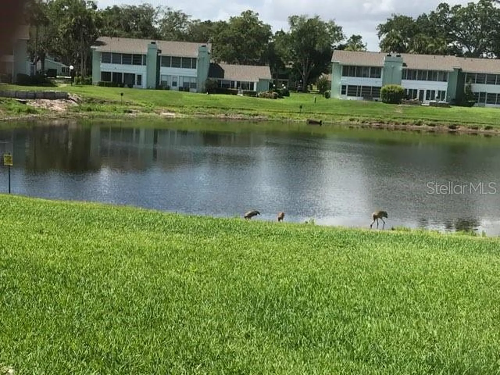 519 Midway Drive Ocala FL 34472