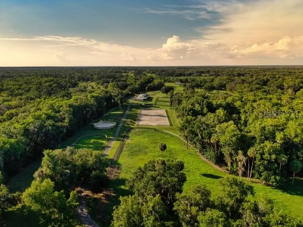 7000 NW Highway 320 Micanopy FL 32667