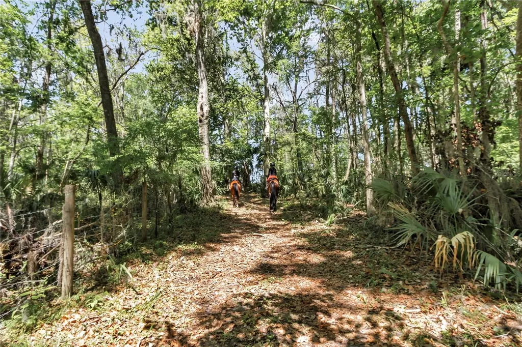 7000 NW Highway 320 Micanopy FL 32667