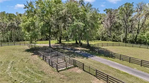7000 NW Highway 320 Micanopy FL 32667