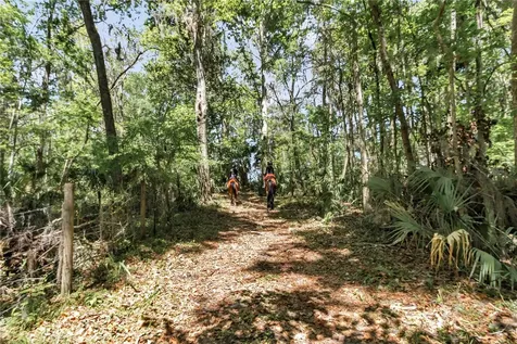 7000 NW Highway 320 Micanopy FL 32667