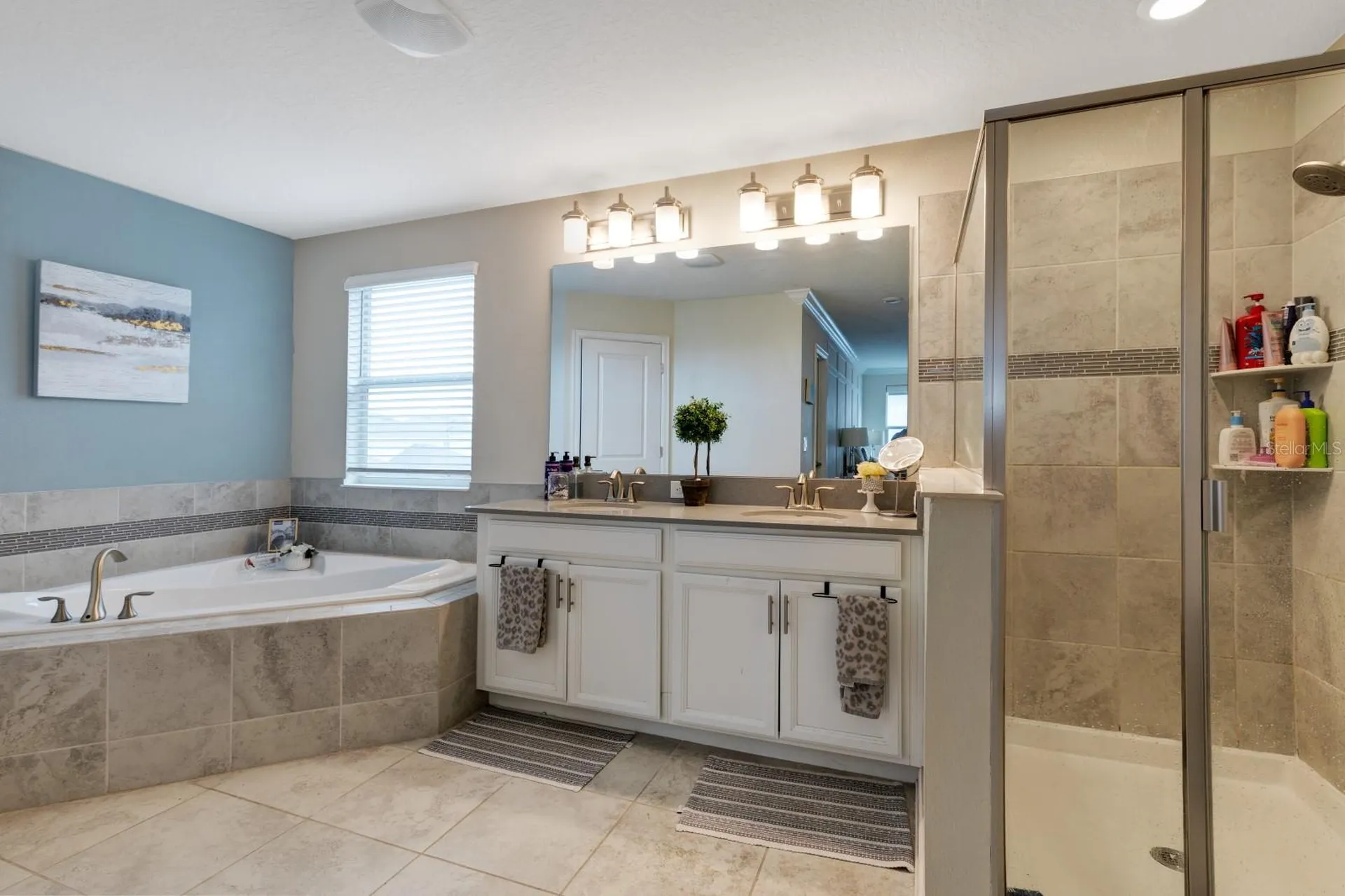 7542 Summerlake Groves Street Winter Garden FL 34787