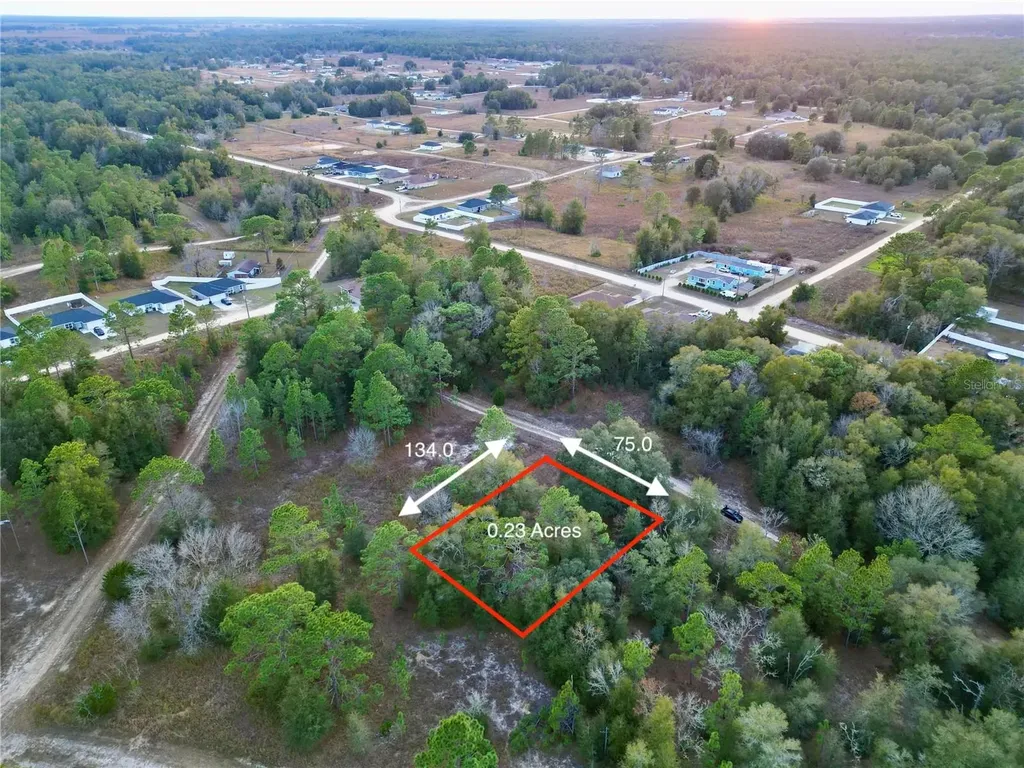 Tbd SW 145th Court Ocala FL 34482