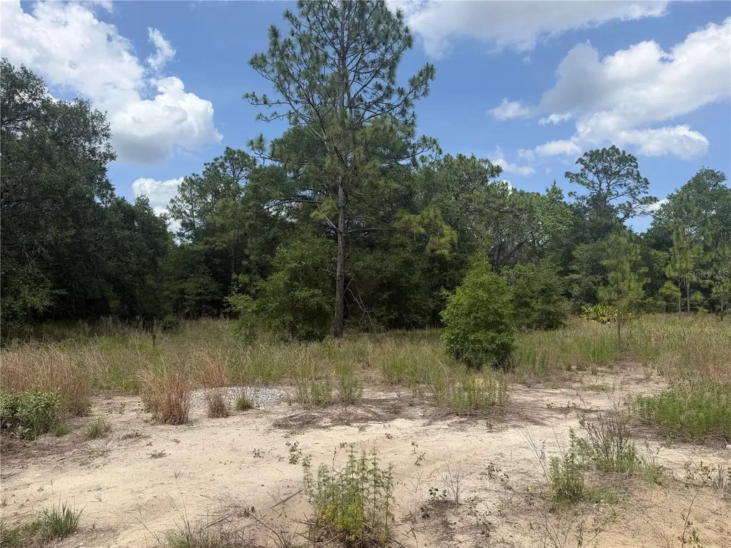 Tbd SW 145th Court Ocala FL 34482