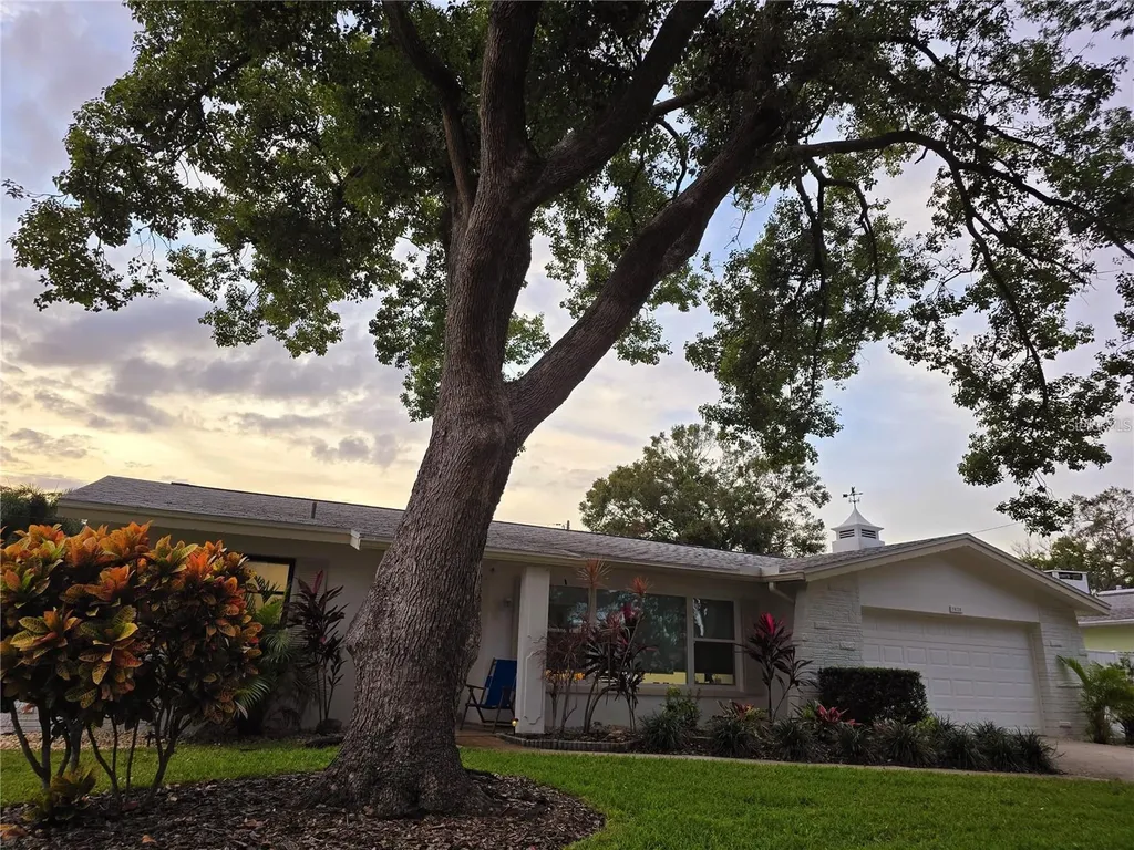 1028 Chinaberry Road Clearwater FL 33764