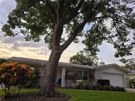1028 Chinaberry Road Clearwater FL 33764