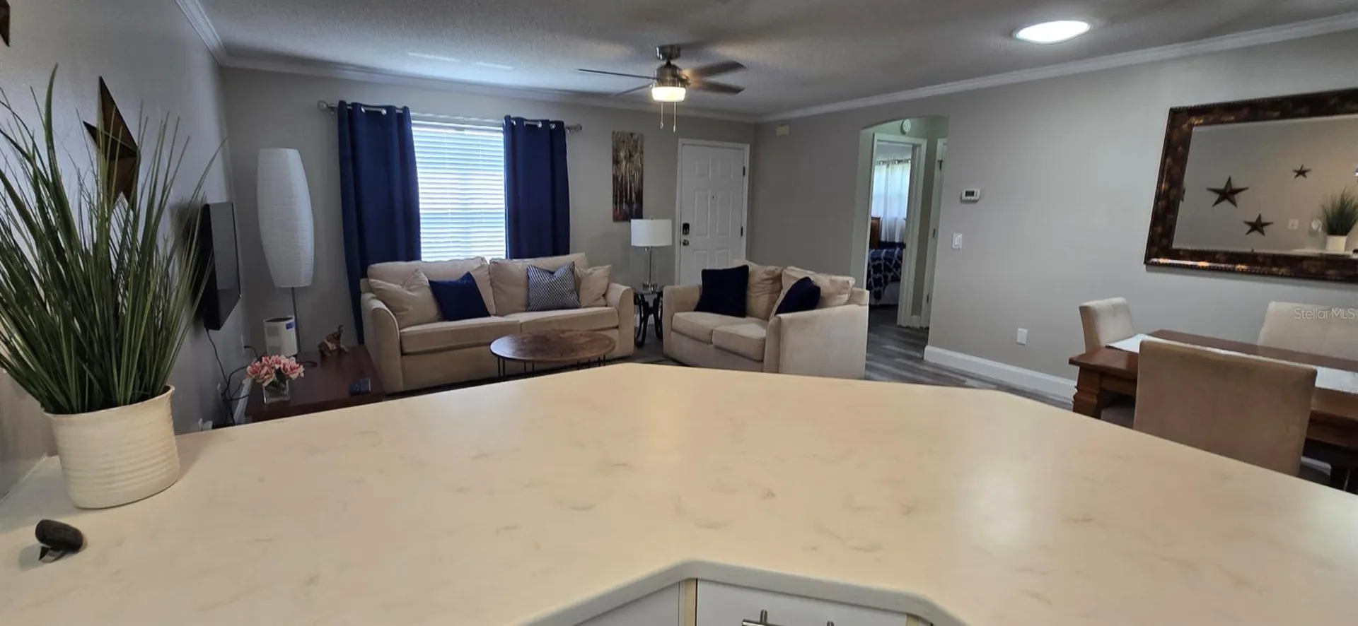 The Villages FL 32162