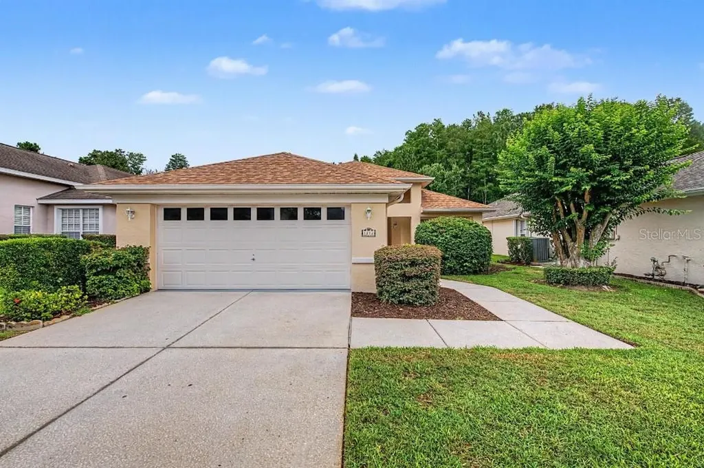 1812 Orchardgrove Avenue New Port Richey FL 34655