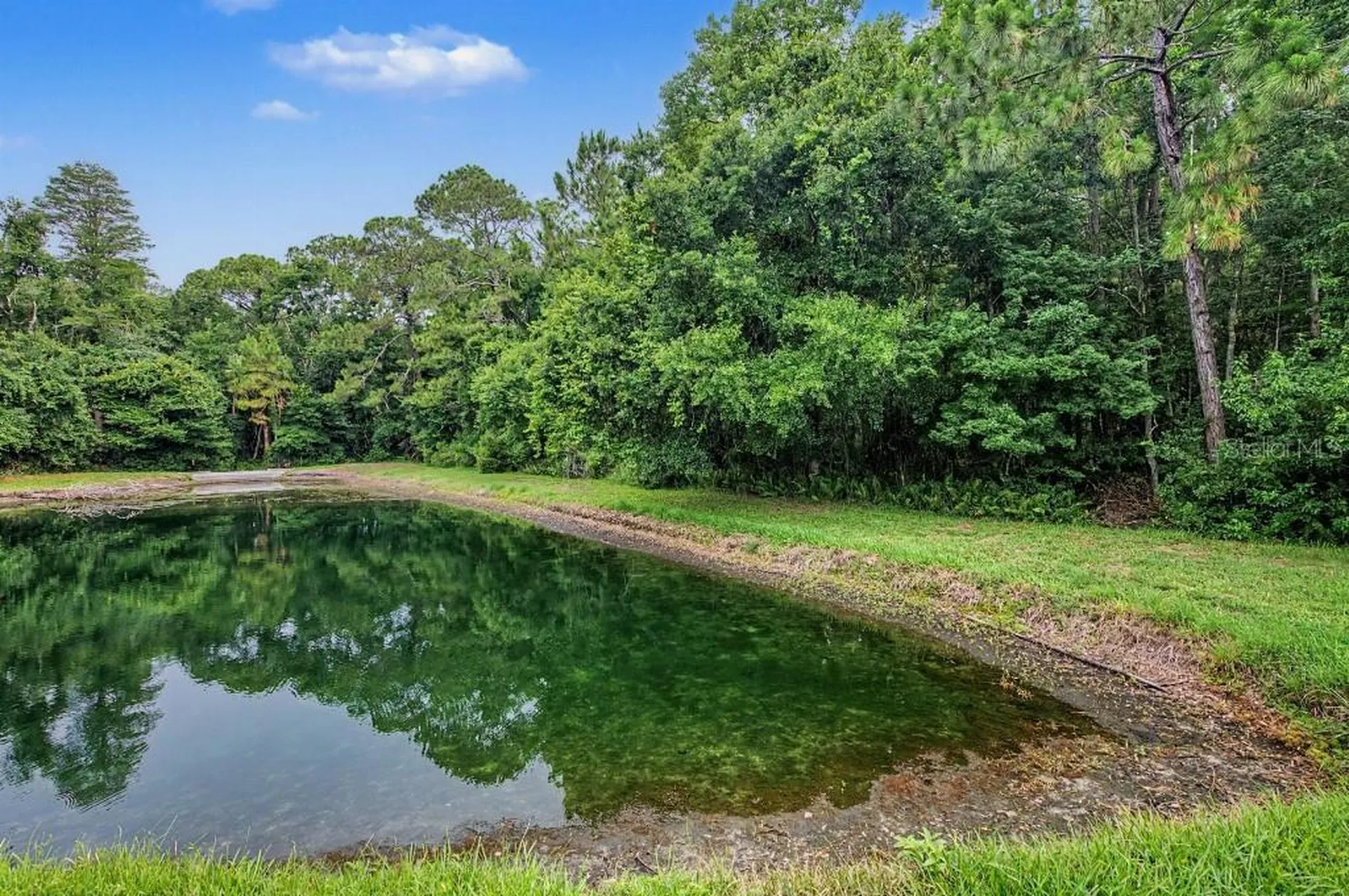 1812 Orchardgrove Avenue New Port Richey FL 34655