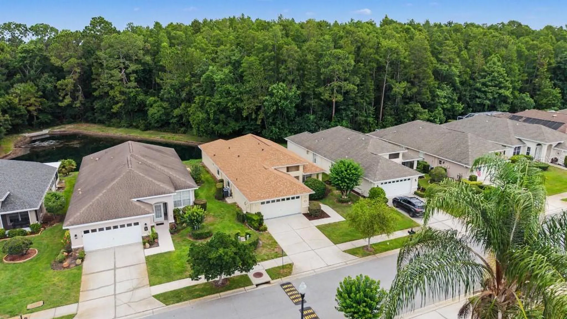 1812 Orchardgrove Avenue New Port Richey FL 34655