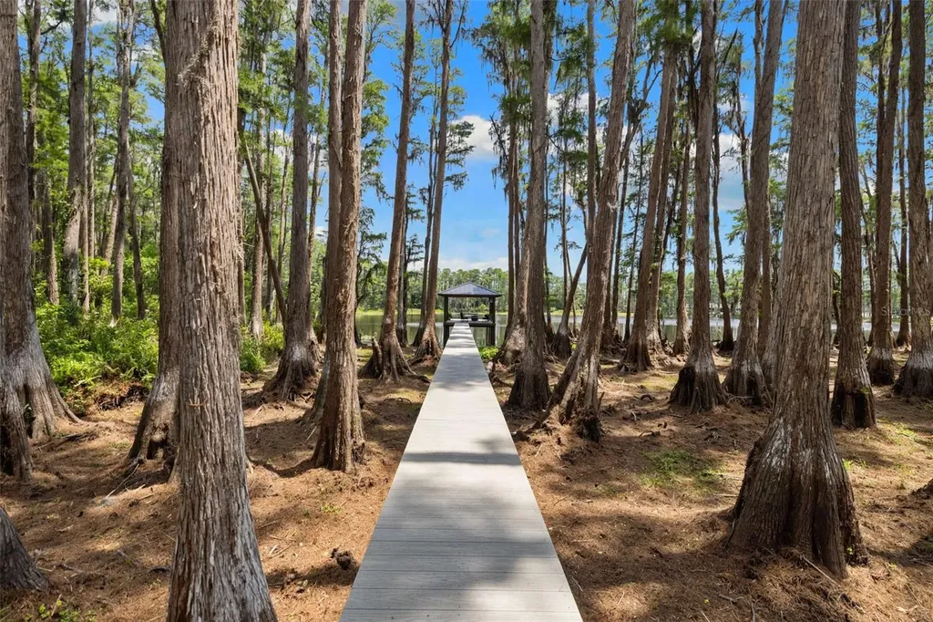 18562 Council Crest Drive Odessa FL 33556