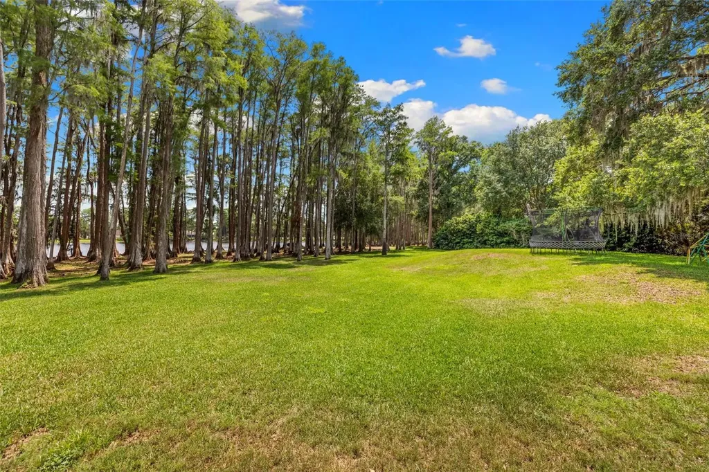 18562 Council Crest Drive Odessa FL 33556