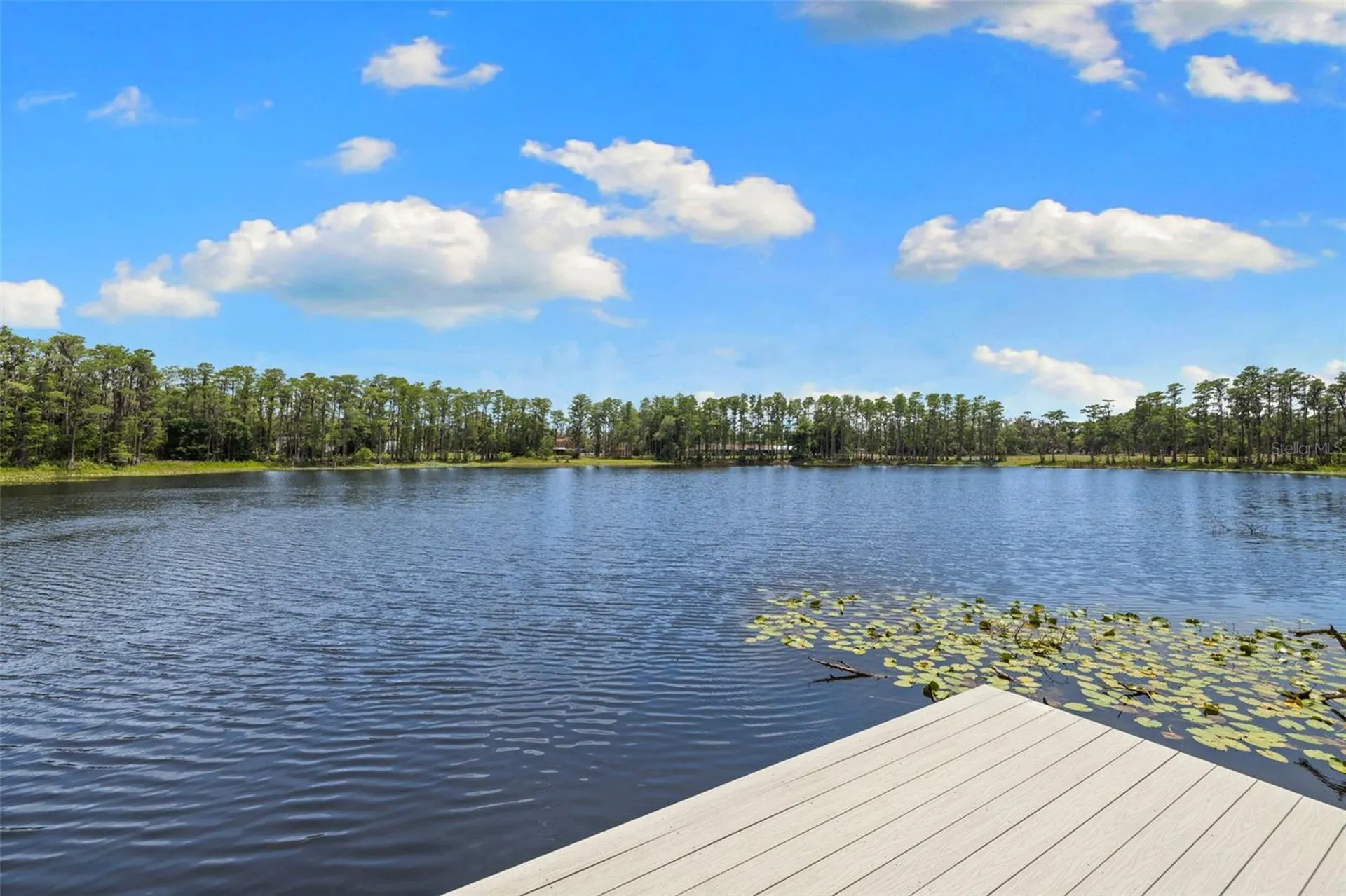 18562 Council Crest Drive Odessa FL 33556