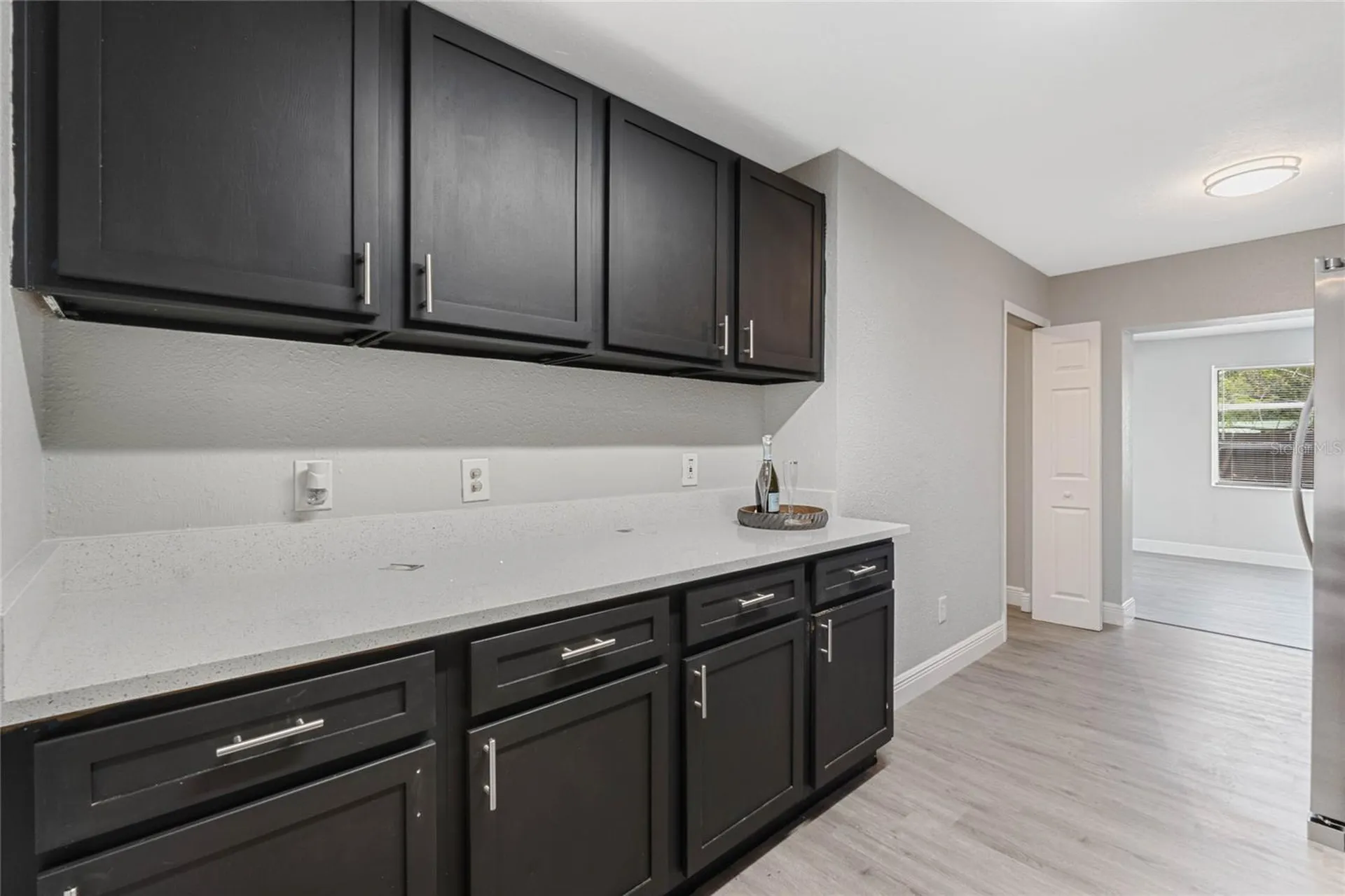1090 Emerald Drive Mount Dora FL 32757