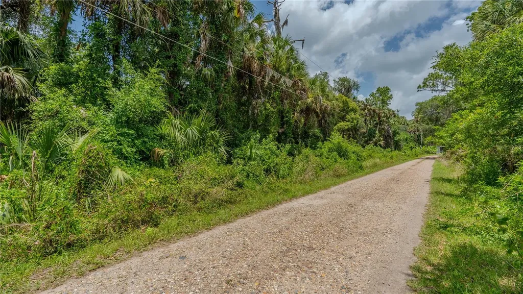 Swamp Lane Geneva FL 32732