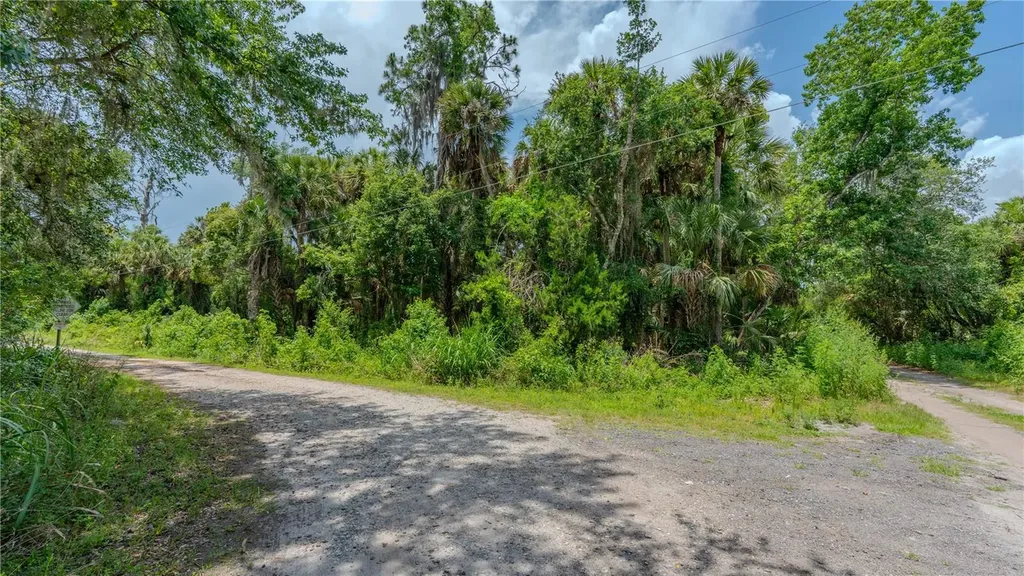 Swamp Lane Geneva FL 32732