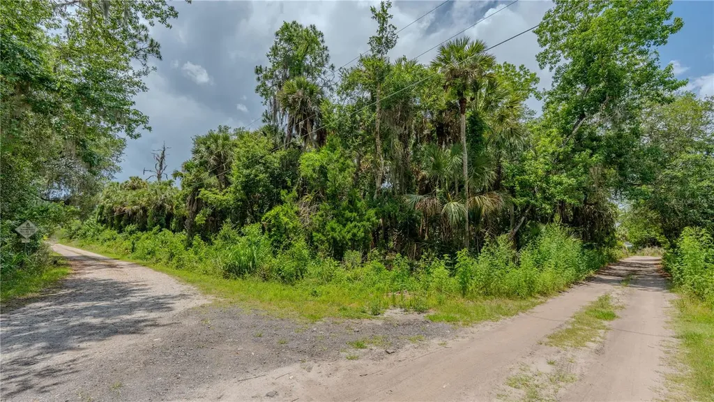 Swamp Lane Geneva FL 32732