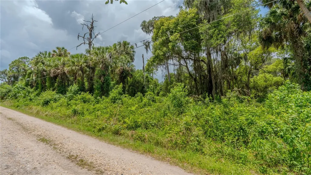 Swamp Lane Geneva FL 32732